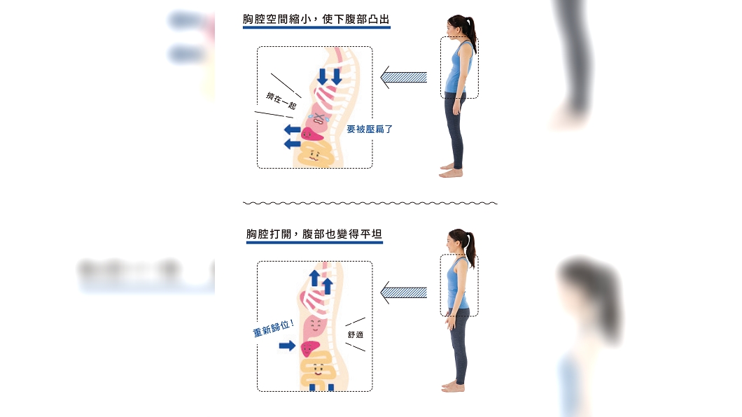 (圖/《後仰就會瘦:10秒就能消小腹,適合所有人的革命性拉伸瘦體操》提供)