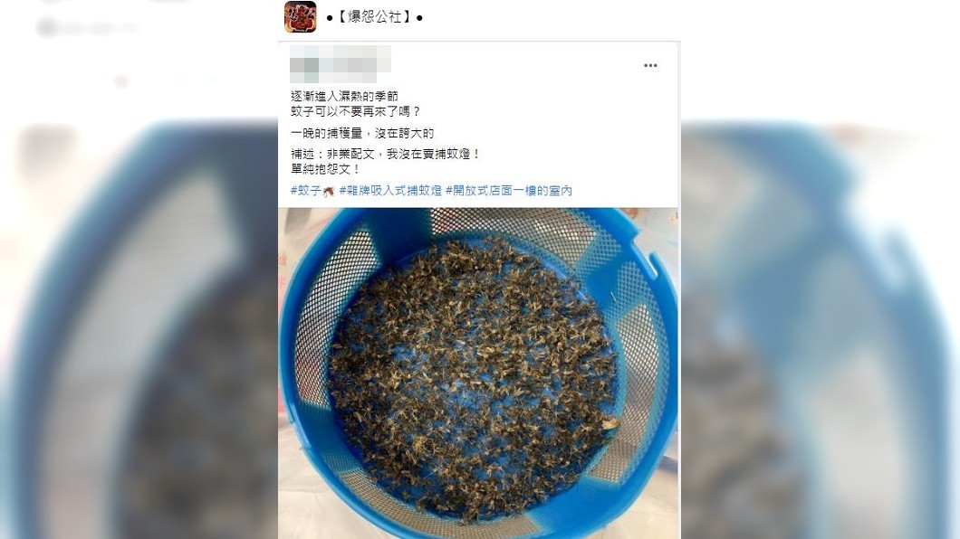有網友分享一晚捕獲超驚人的蚊子數量。(圖/翻攝自爆怨公社)