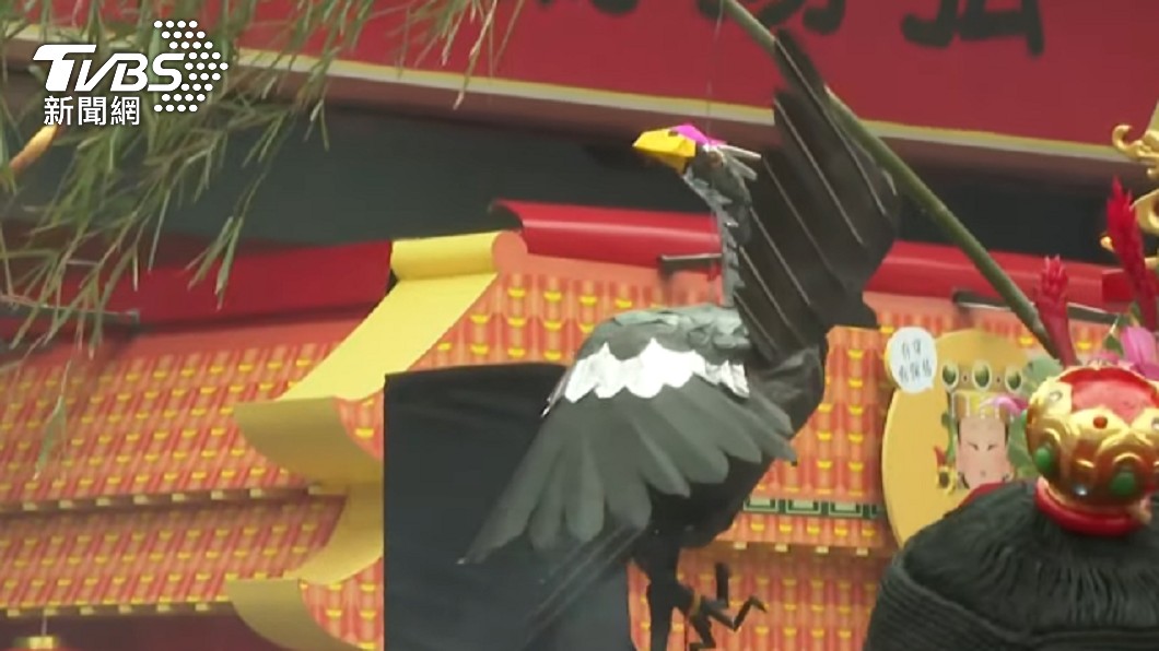 依照傳統習俗,「商羊鳥」若掉一隻腳,就可能會下大雨。(圖/TVBS)
