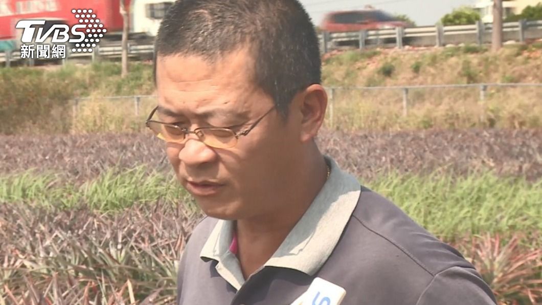 無辜鳳梨伯。(圖/TVBS)