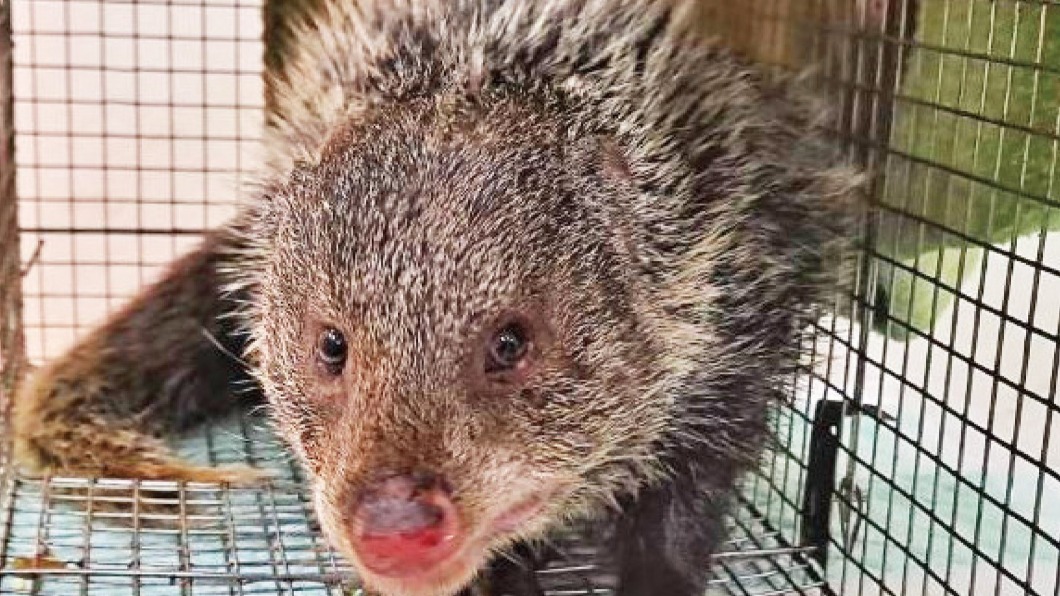 新竹動物園以收留「被棄養」或「繁殖過剩」的動物為主。(圖/翻攝自新竹市立動物園 Hsinchu Zoo臉書)