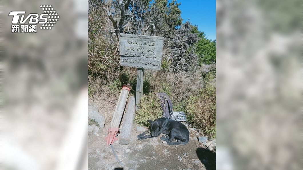 北大武山「登頂神犬小黑」 莊主籲山友別再餵食