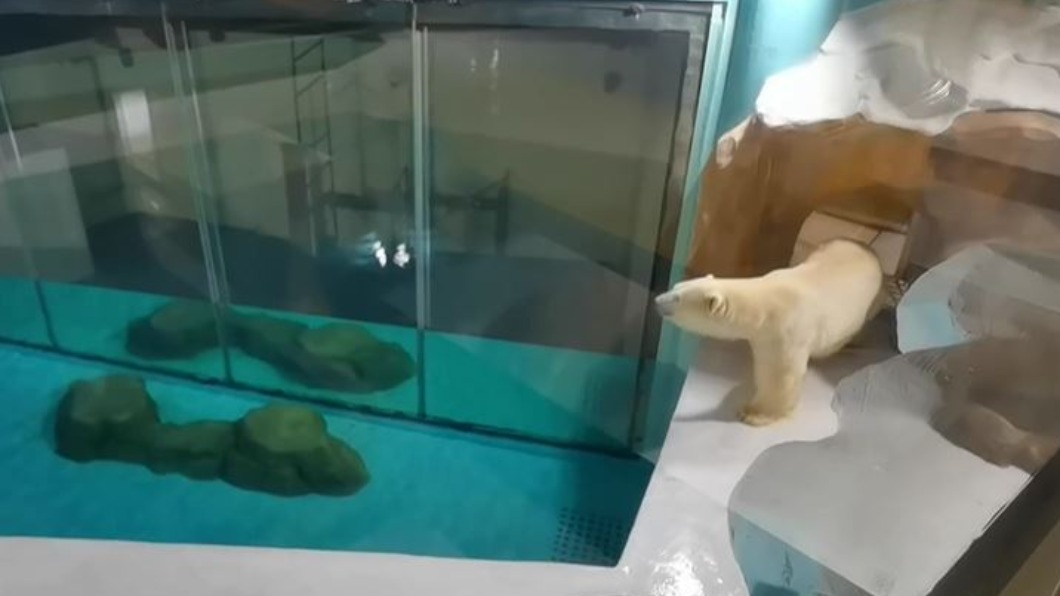 圖／翻攝自中新视频微博
