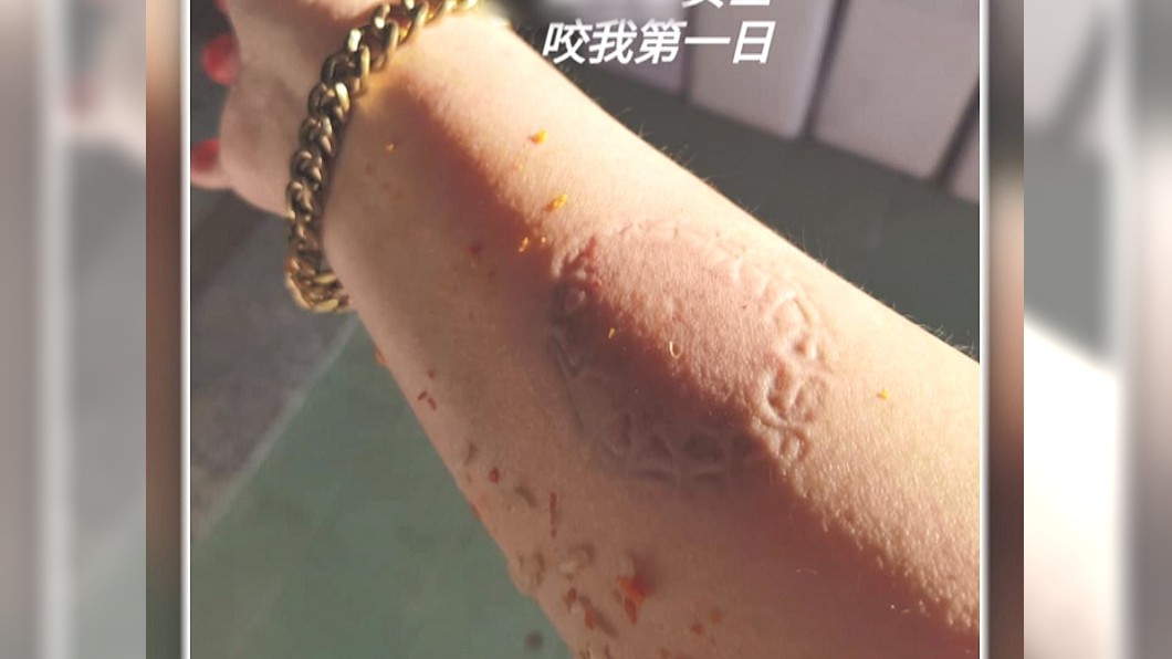 圖/翻攝自網路