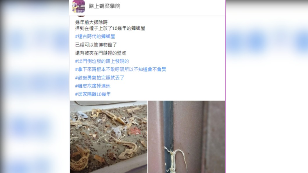 (圖/翻攝自「 路上觀察學院」)