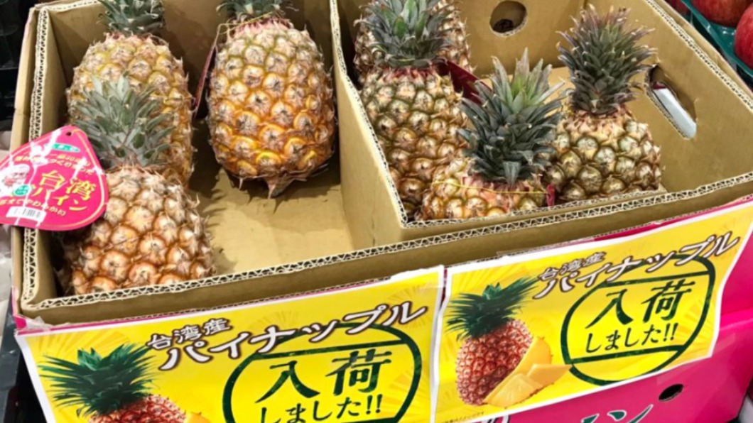 營養午餐也能吃到？　日本吹「臺灣鳳梨熱」