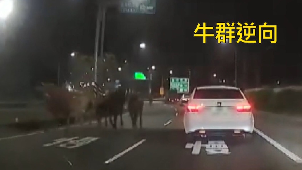 圖/翻攝燕巢人大小事