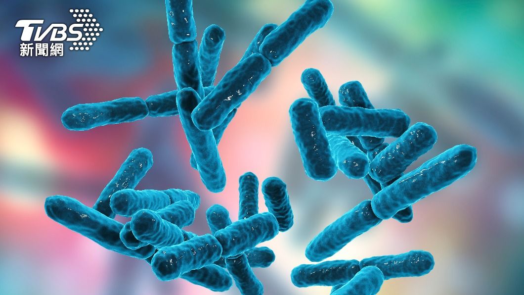 生物滅絕後,地球將回到「厭氧菌」等微生物時代。(示意圖/shutterstock 達志影像)