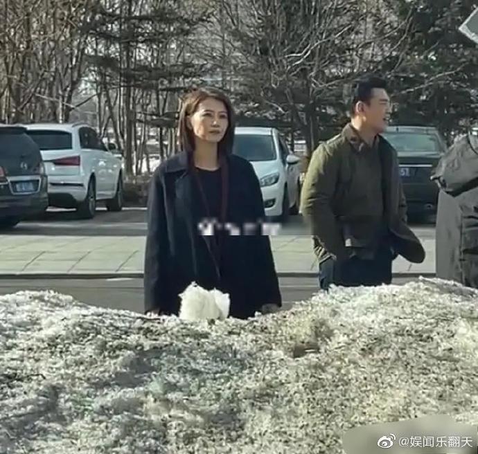 高圓圓近日復出拍攝新劇。(圖/翻攝自微博)