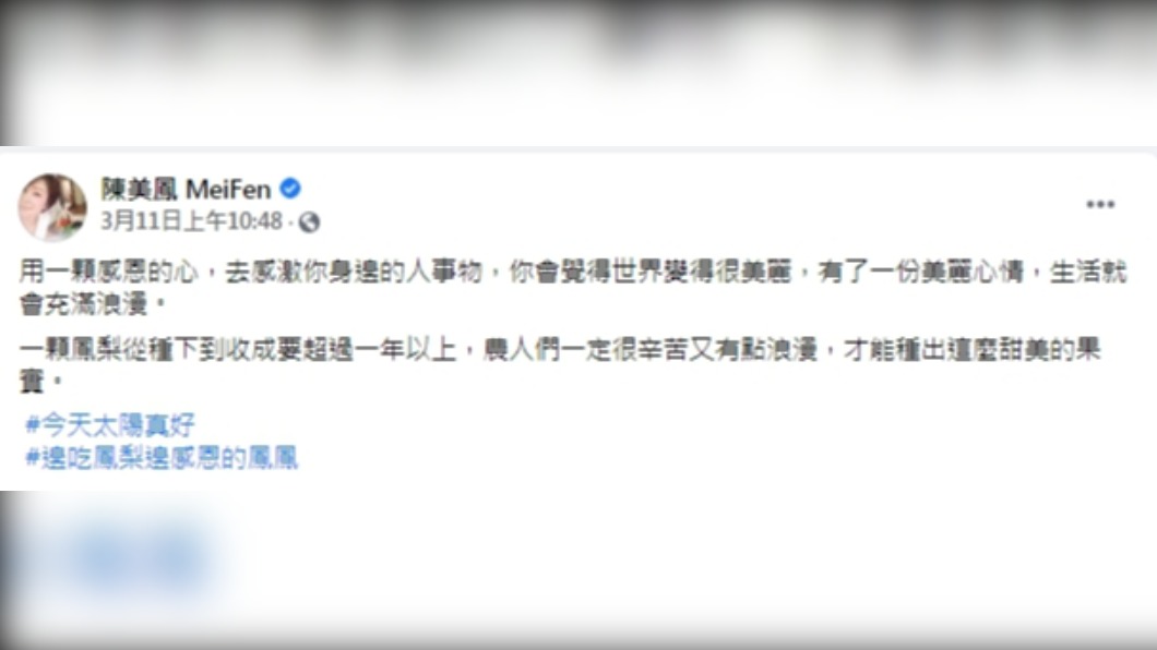 (圖/翻攝自陳美鳳臉書)