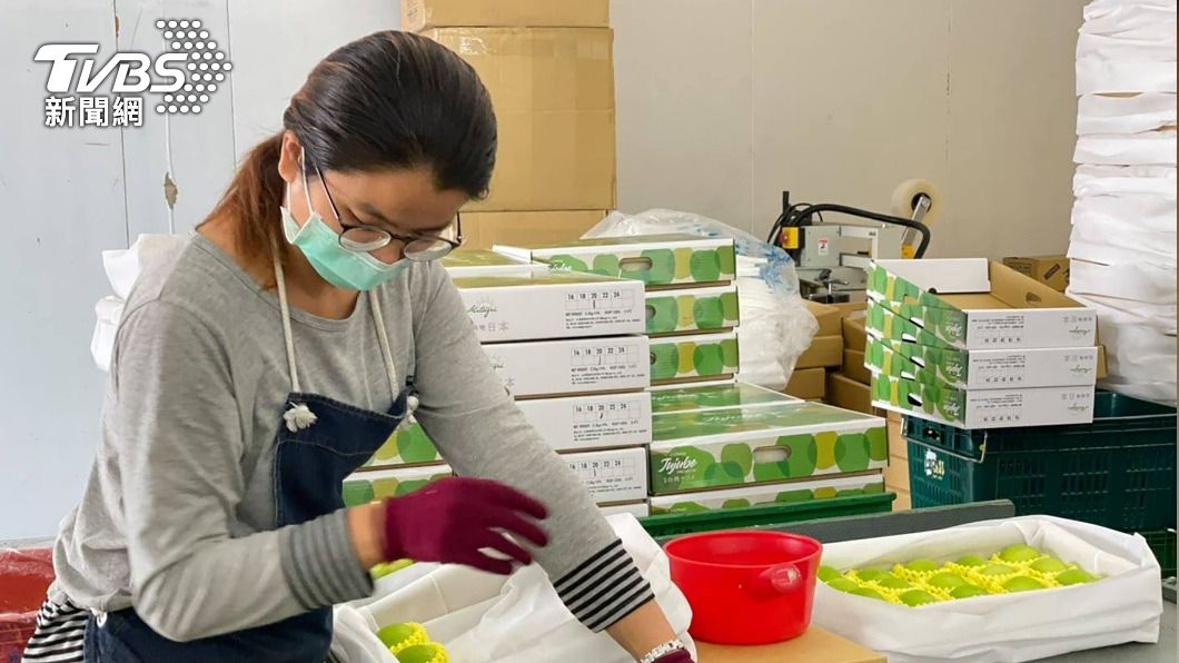 挑戰日本市場成功 屏東神農獎蜜棗沒在怕陸禁銷
