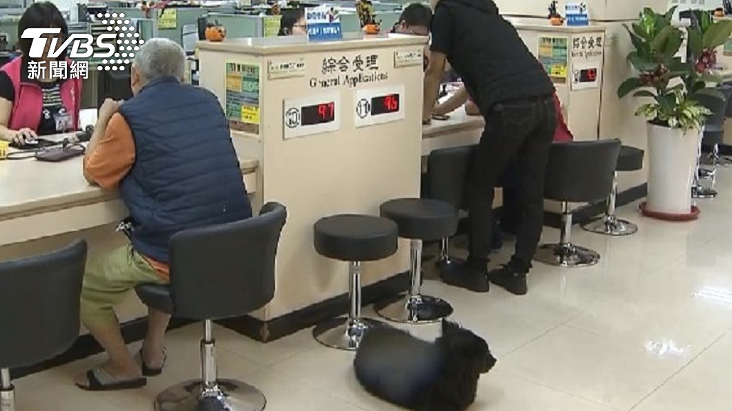 曾女將女兒登記從母性，遭前夫提告。（示意圖／TVBS資料畫面）