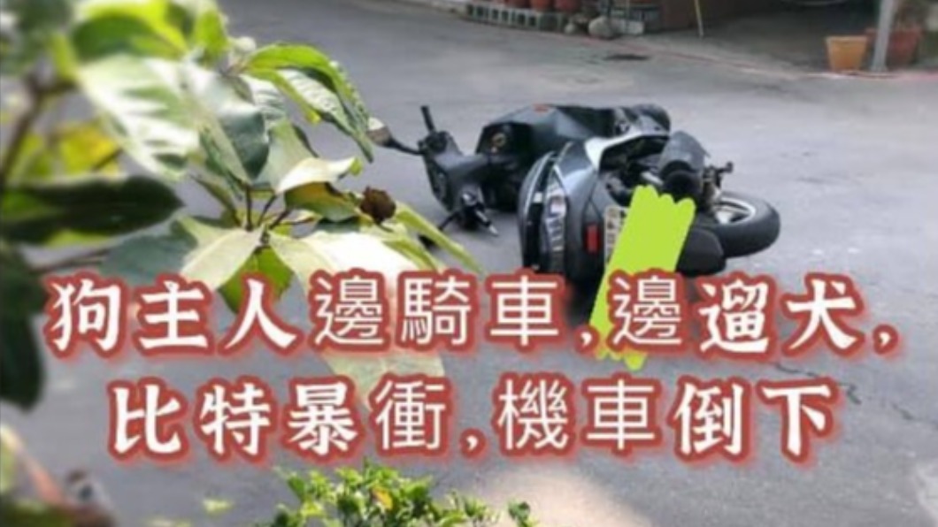 狗兒暴衝力道過猛將飼主機車當場拉倒。（圖／翻攝自「爆料公社分享版」）