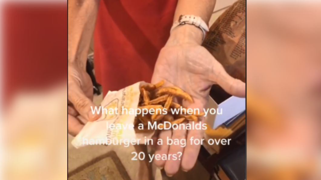 塵封24年的麥當勞薯條。(圖/翻攝自aly.sherb抖音)