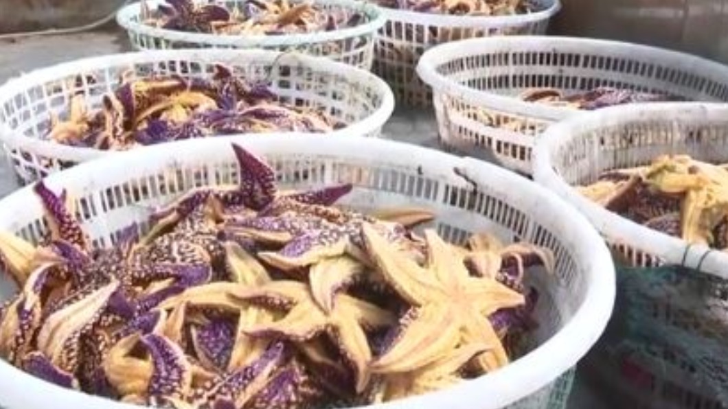圖/翻攝自中国新闻网 微博