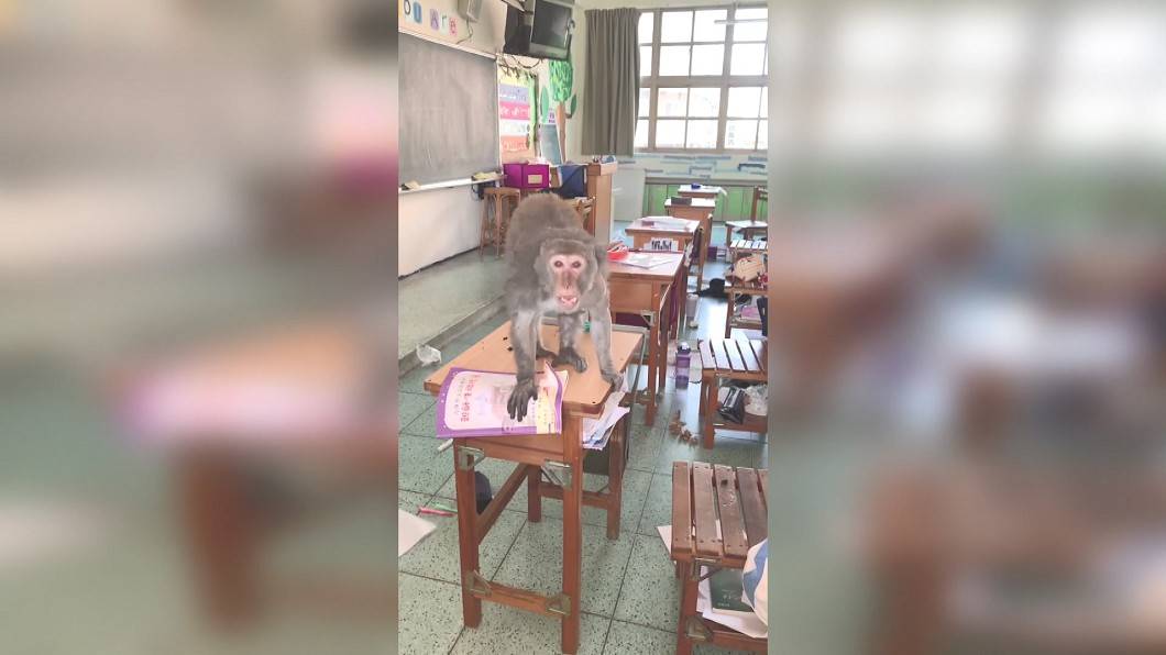 圖／翻攝自高雄大小事