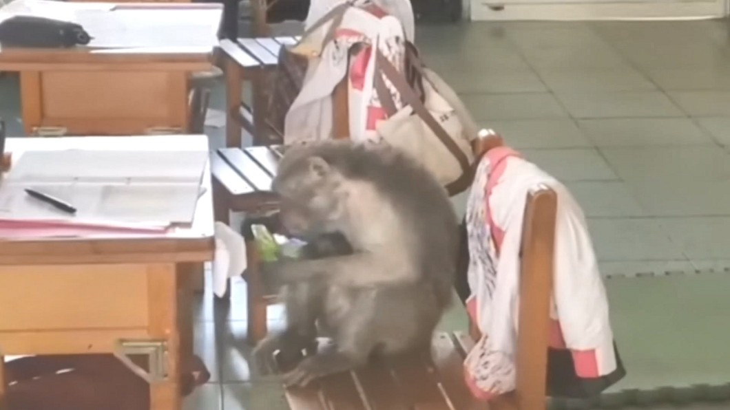 圖／翻攝自高雄大小事