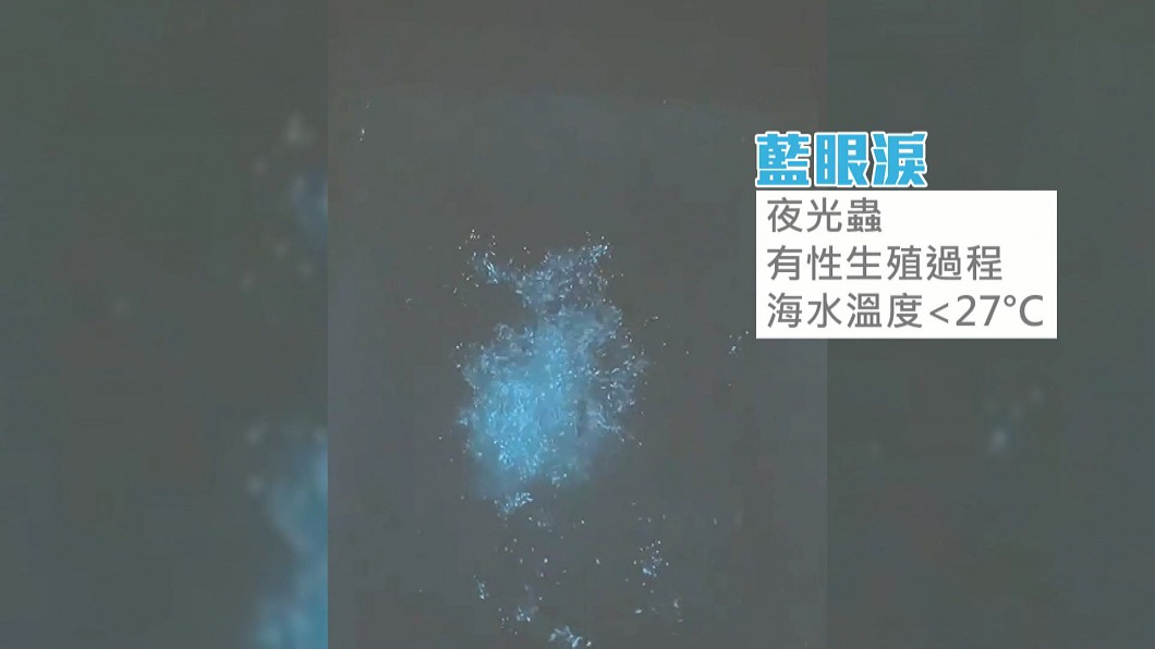 圖／畫面提供自民眾、趙士超