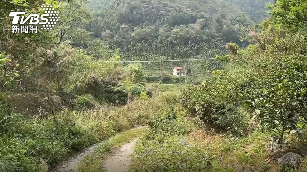 護理師耗時4小時脫困，自行走下山請村民報警。（圖／TVBS）