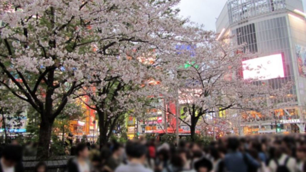 東京解封首日澀谷塞爆 上野公園賞櫻人潮少