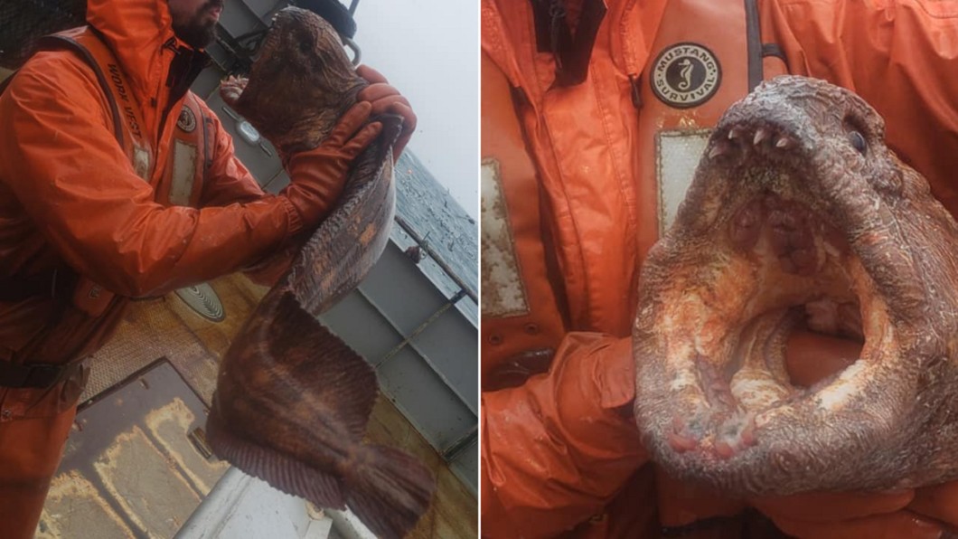 拽到大海怪! 美男見「猙獰獠牙」嚇呆:氣氛凝結
