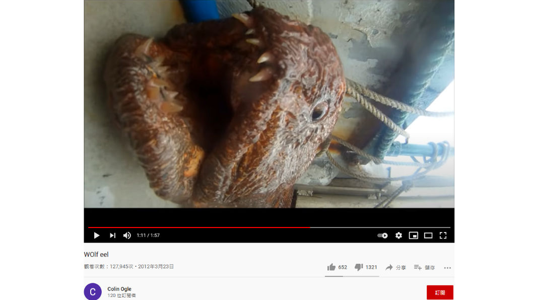 漁民捕獲這隻龐然大物。(圖/翻攝自Colin Ogle YouTube)
