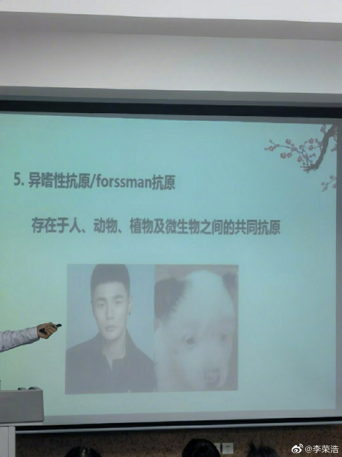 (圖/翻攝自李榮浩微博)