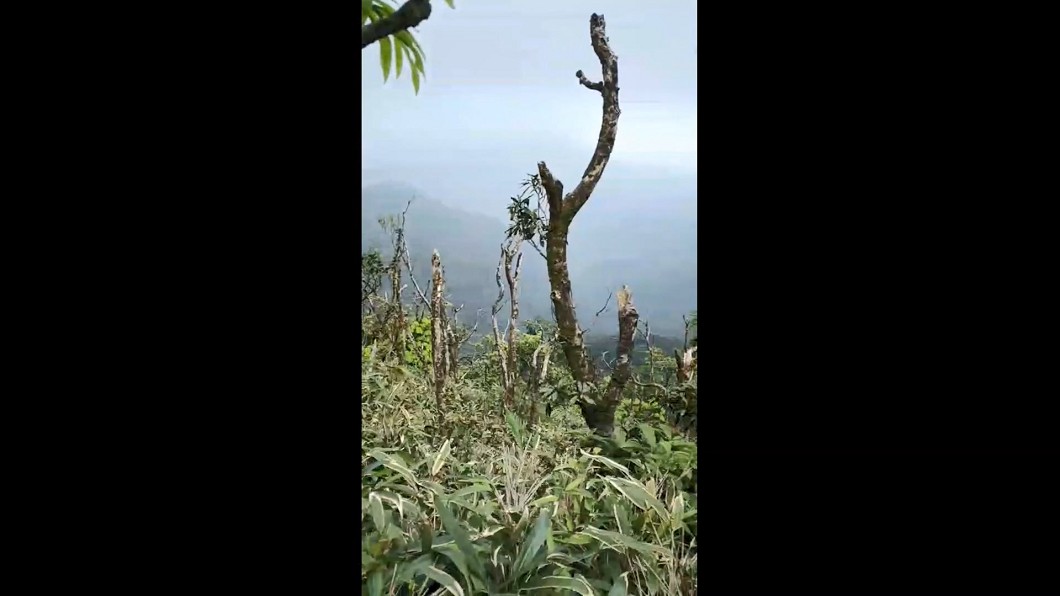圖／噶瑪蘭救難協會提供