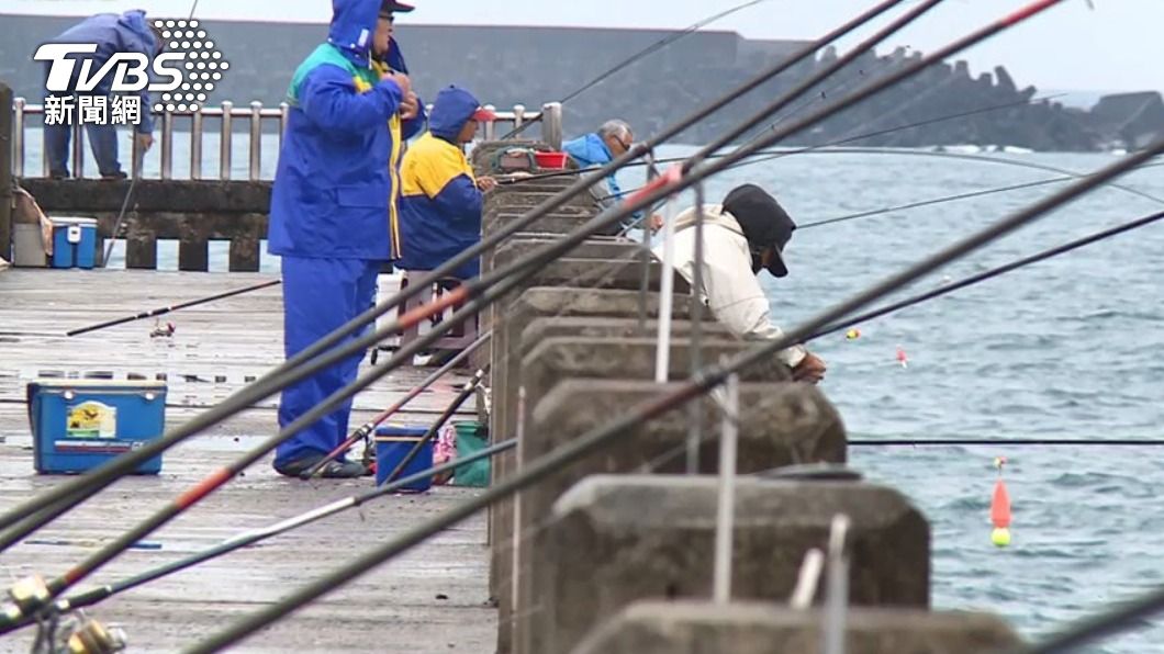 許多釣客都認為船蛸有毒不能吃。(示意圖/TVBS資料畫面)