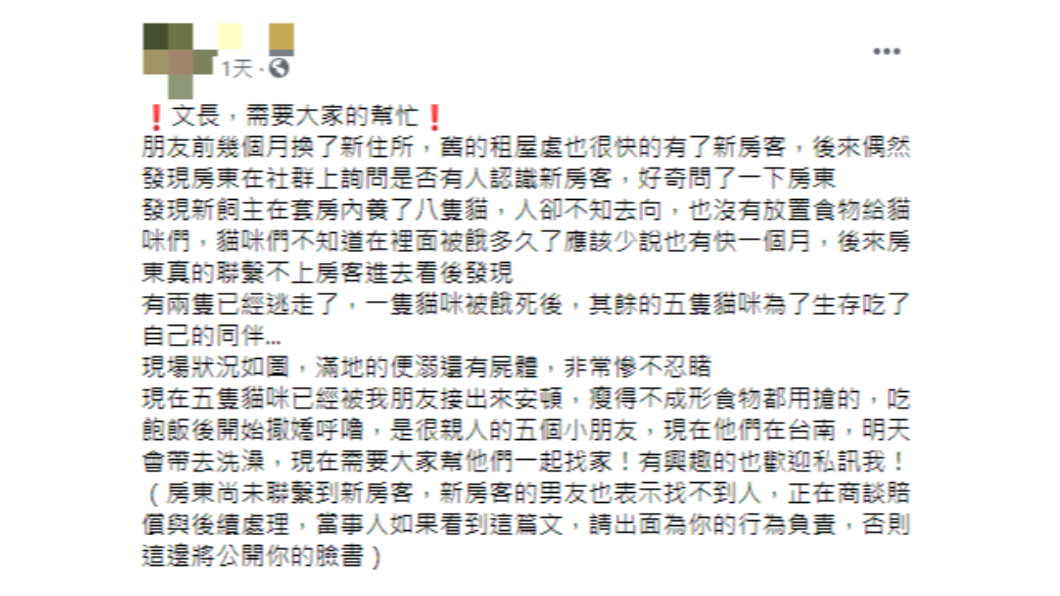 台南市發生疑似虐貓事件。(圖/翻攝自「貓咪也瘋狂俱樂部 CrazyCat club」)