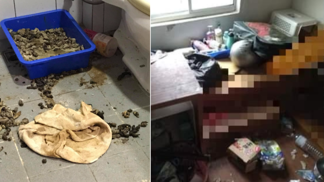房東破門後驚見屋內一片狼藉。(合成圖/翻攝自「貓咪也瘋狂俱樂部 CrazyCat club」)