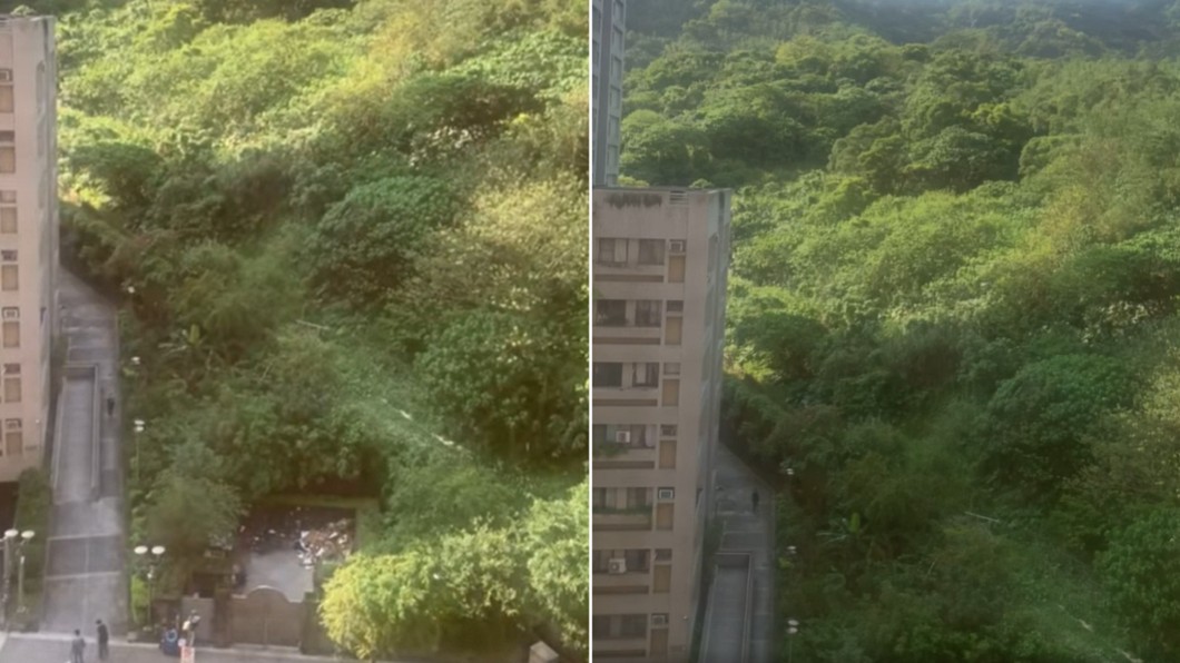 南港山區傳詭異「怪獸嘶吼」 居民嚇求解:聽過3次!