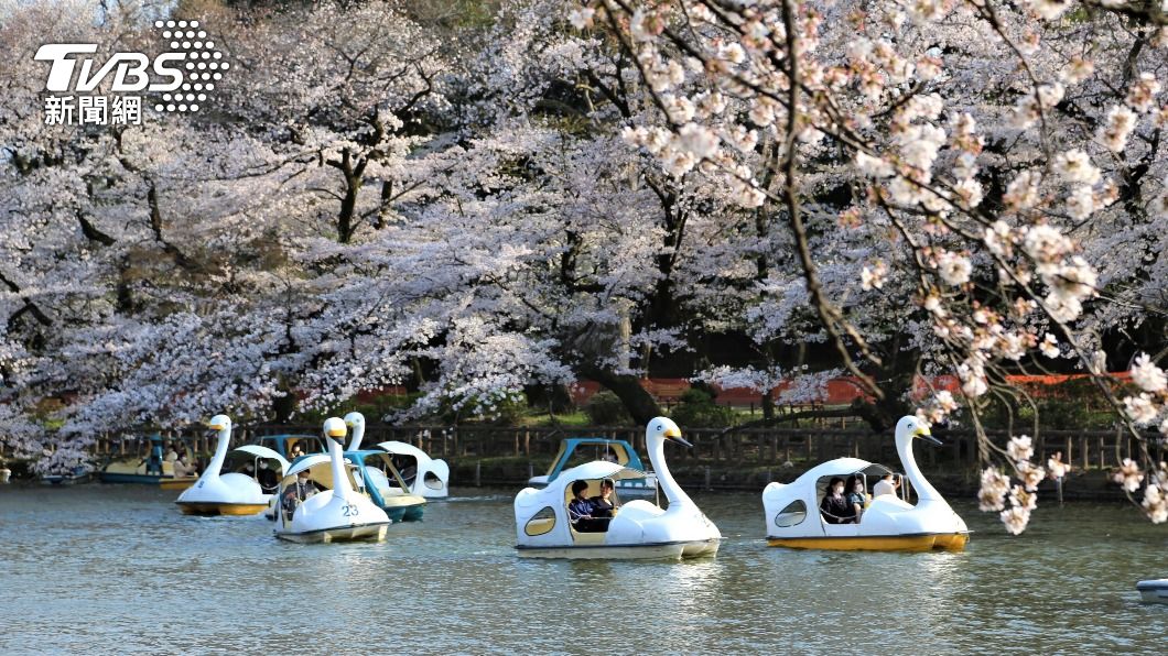 （圖／中央社）