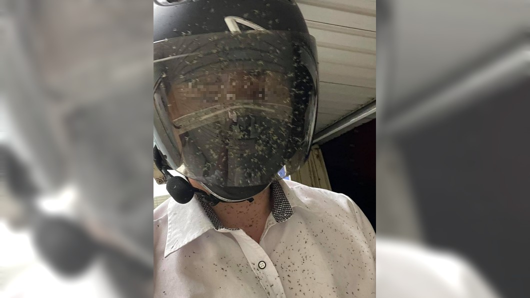 西濱遭蚊群恐攻! 騎士「滿臉蟲屍」看不到路