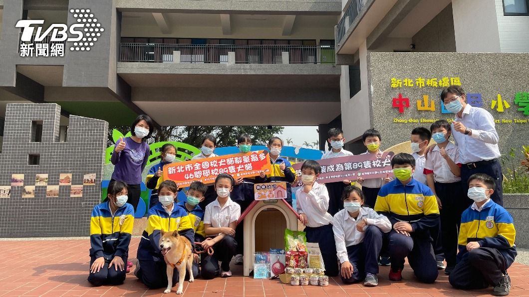曾遭狠心飼主從3樓扔下　「柴福」拋陰影重生成校犬