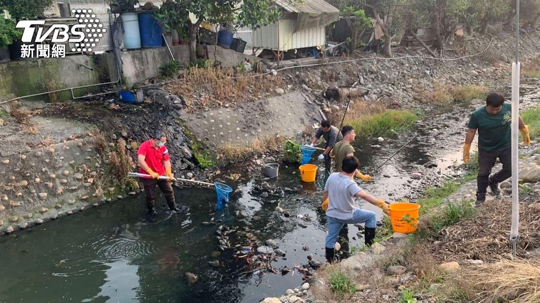 雲林烏塗子大排魚群暴斃 上游工廠涉違法排廢水