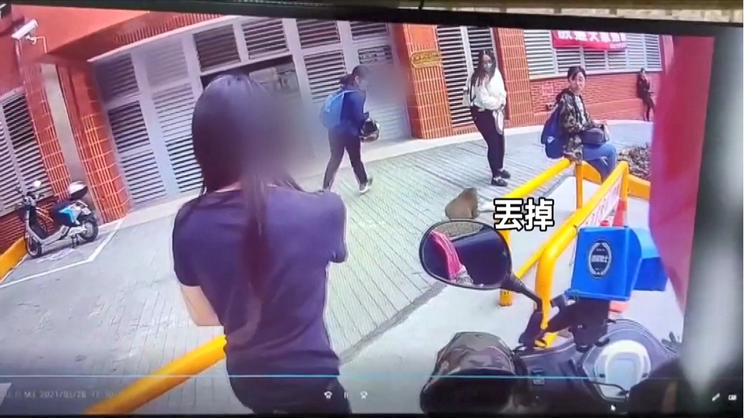圖/畫面翻攝爆廢1公社