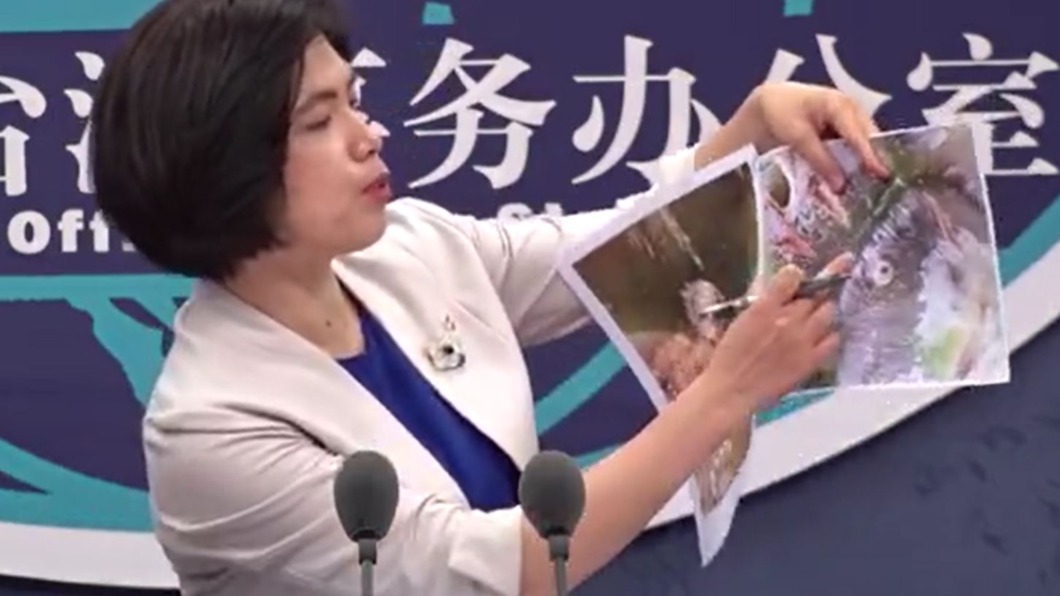 圖/翻攝自中国新闻网 微博