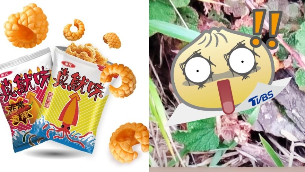 合歡山見「橘黃奇異果實」 網一看秒答:是真魷味