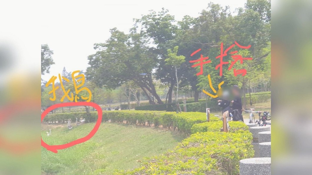 圖/翻攝自嘉義大小事臉書