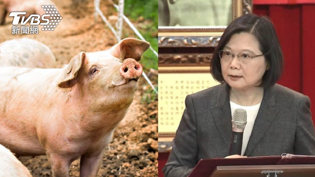 萬里死豬驗出非洲豬瘟 蔡英文關切:不能大意