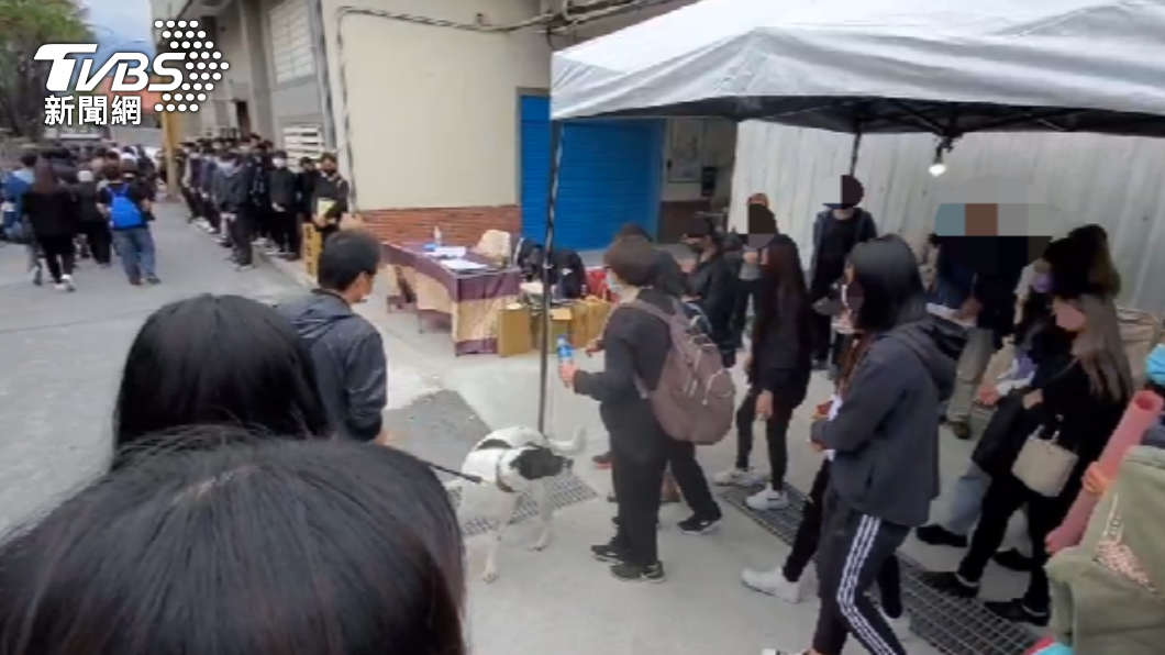 張家飼養的狗狗小掰,看見張媽媽後立刻衝向她激動親吻。(圖/TVBS)
