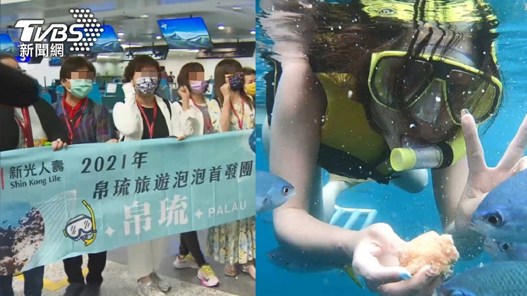 台帛泡泡變泡沫？第3團僅13人　觀光局急找帛方開會