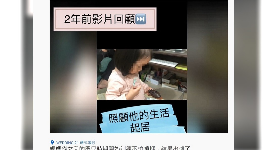 佩佩女兒一歲就會照顧蟑螂生活起居。(圖/翻攝自蔡佩佩YouTube頻道)