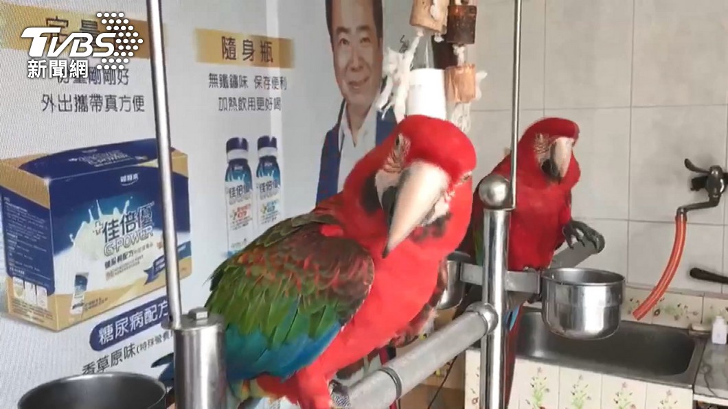 圖/TVBS