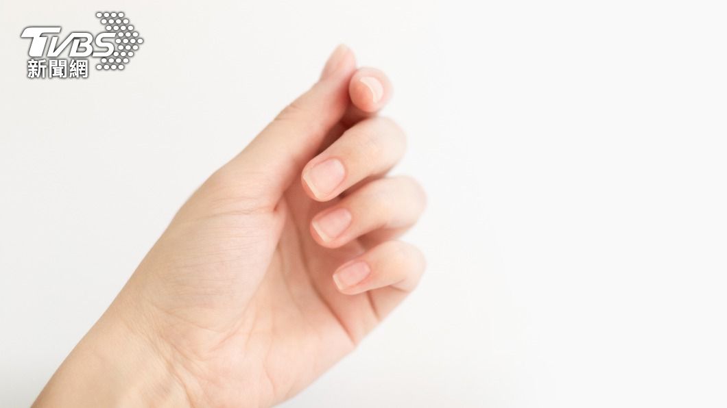 不同甲型可以看出不同性格。(示意圖/shutterstock達志影像)