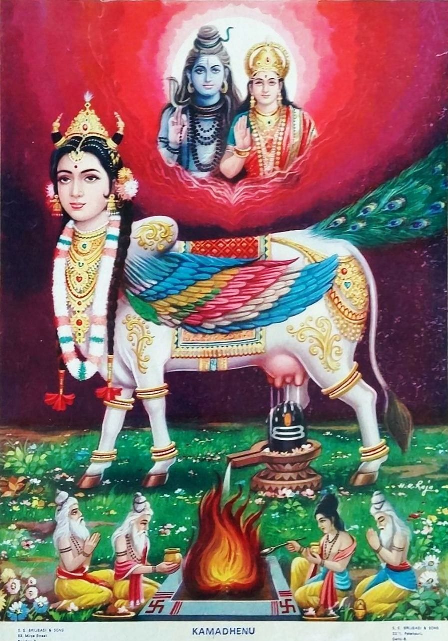 印度教的牛女神「伽摩忒奴」。(圖/翻攝自The Hindu Gods and Goddesses臉書)