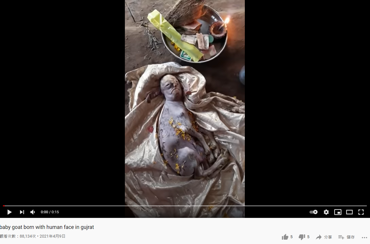 先前印度一處村莊出現人臉山羊寶寶。(圖/翻攝自mahesh Chollangi Youtube)