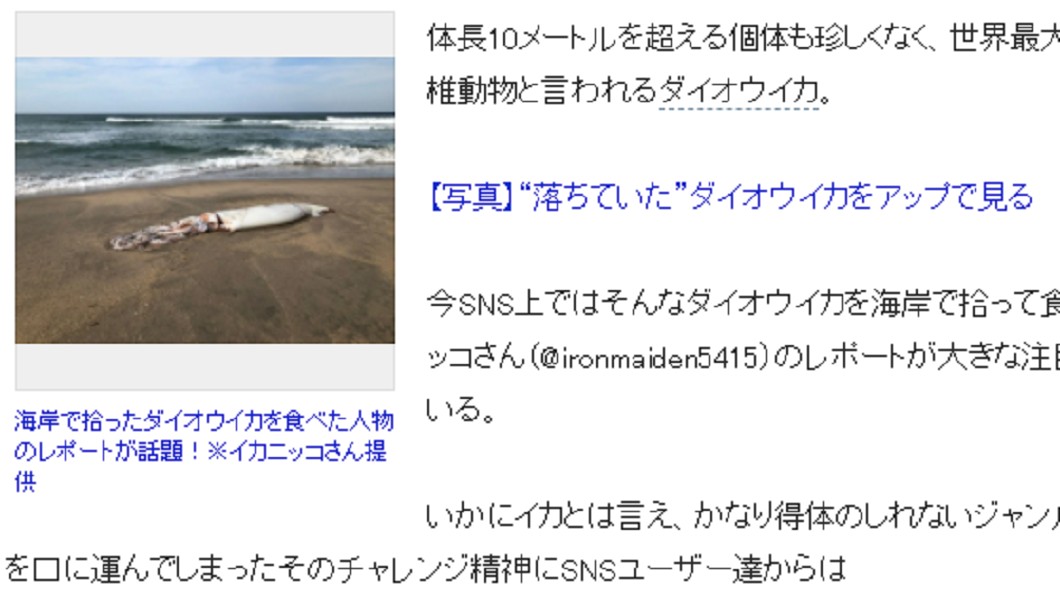日媒報導2月曾在海邊發現一隻大王海賊屍體。(圖/翻攝自日媒《まいどなニュース》)