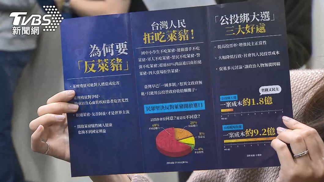 國民黨推反萊豬公投。(圖/TVBS)